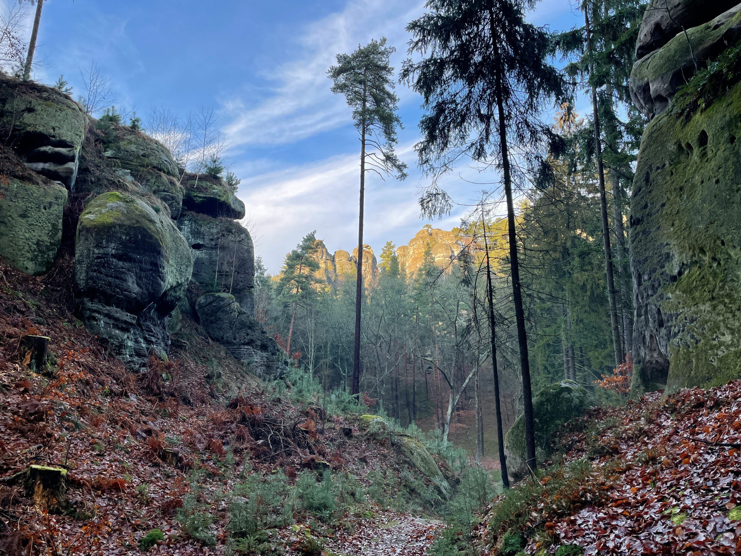 Ausflugsziele Harz: Die schönsten Highlights für Natur, Kultur und Adrenalin