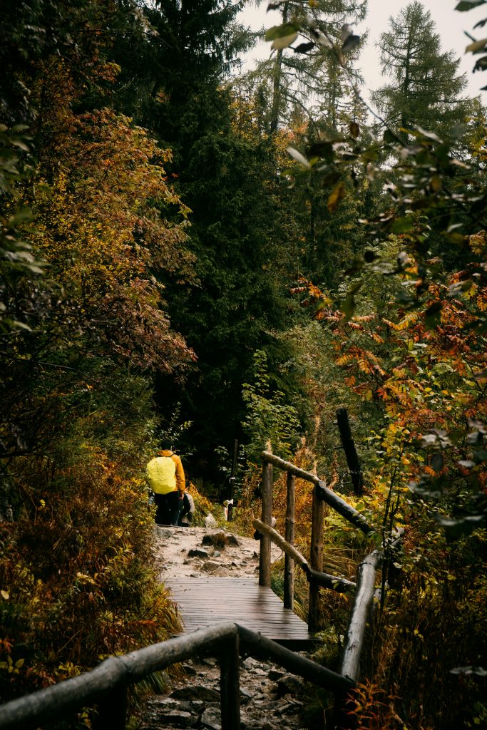 Ausflugsziele im Harz – herbstlicher Wanderweg im Wald mit Wanderer