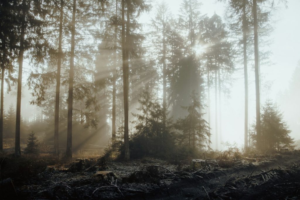 Symbolfoto: Harz-Reise für 3 Tage ohne Auto, bahnhofsnahe Highlights
