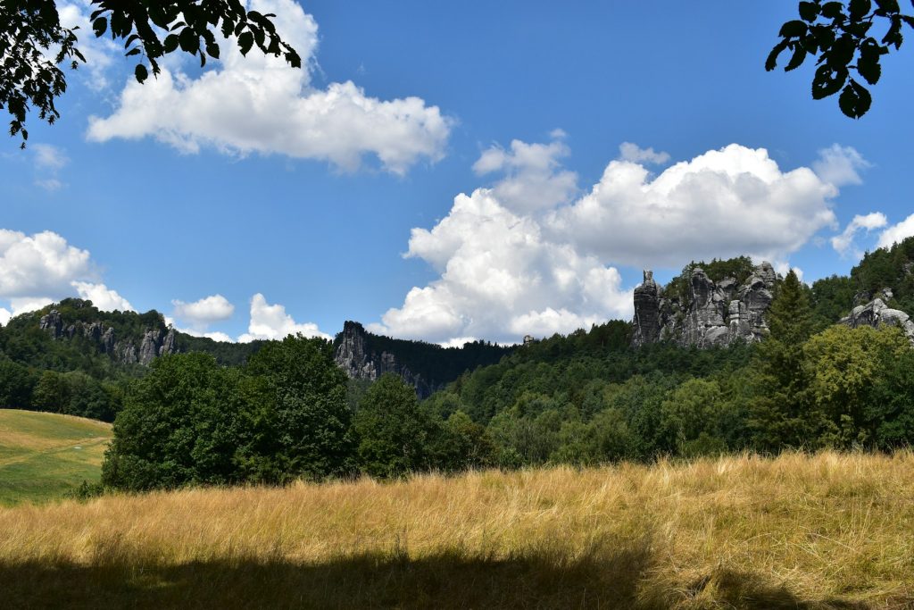 Landschaft im Müritz Nationalpark in Mecklenburg-Vorpommern