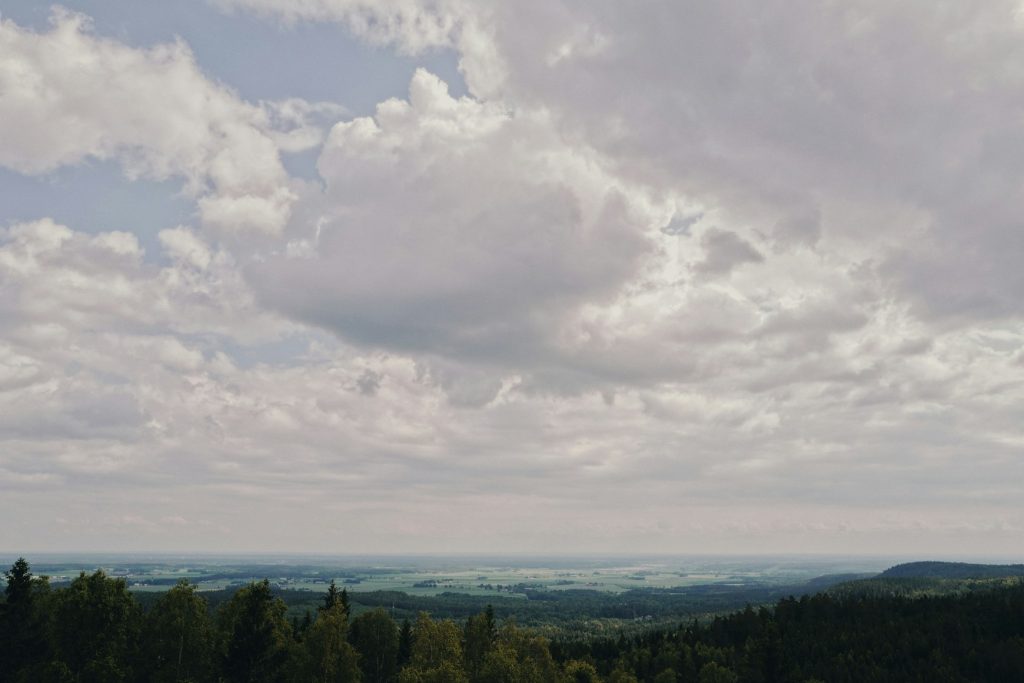 Müritz Nationalpark: weite Seen- und Waldlandschaft in der Mecklenburgischen Seenplatte