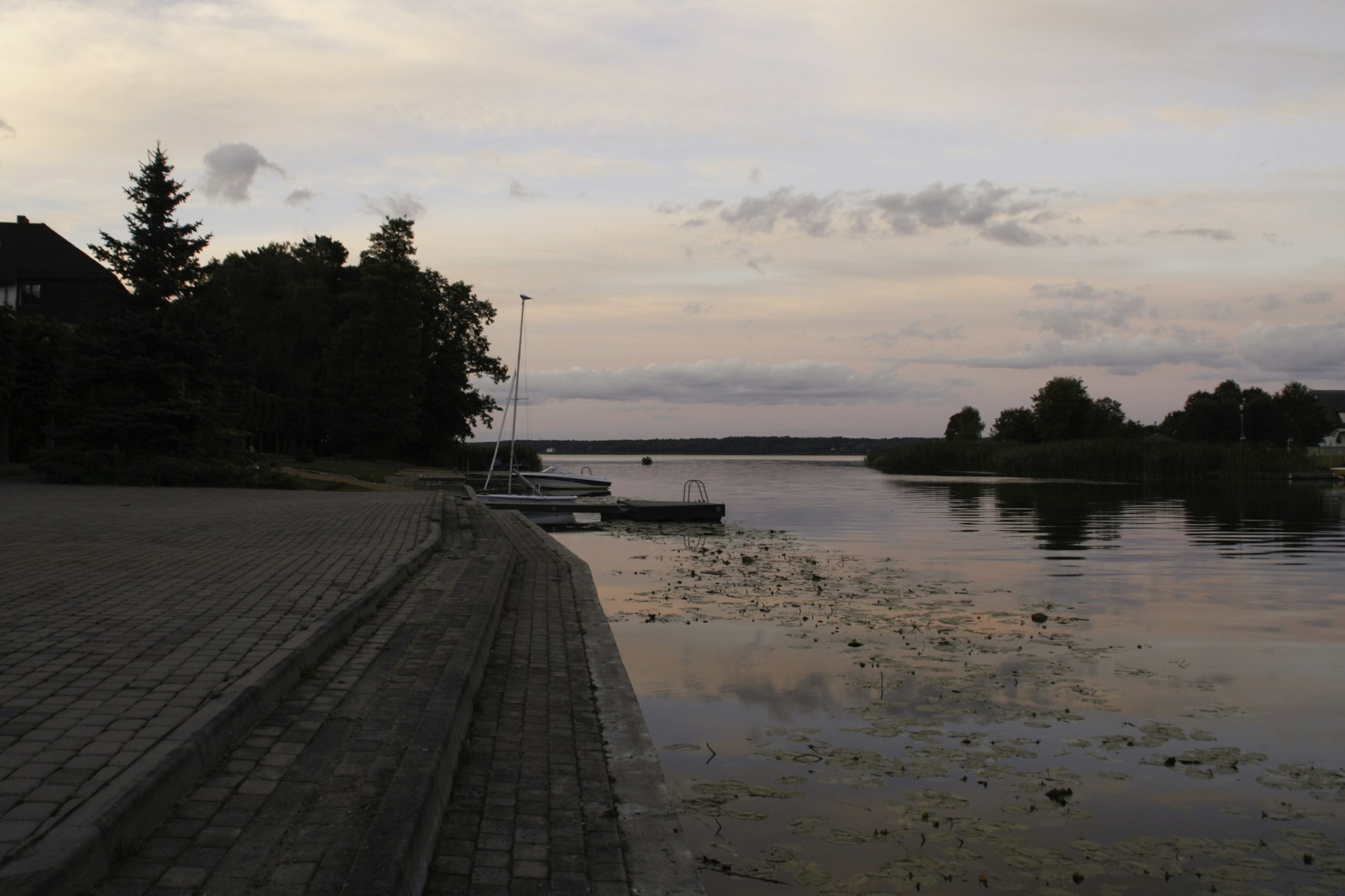 Rügen ohne Auto Busnetz Tipps: Der große Guide für entspanntes Inselhopping