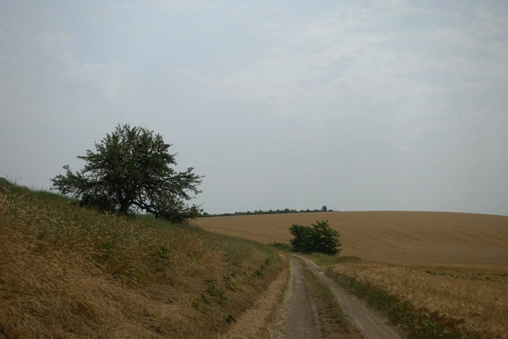 Uckermark-Rundweg – Impressionen einer Rundtour durch die Uckermark