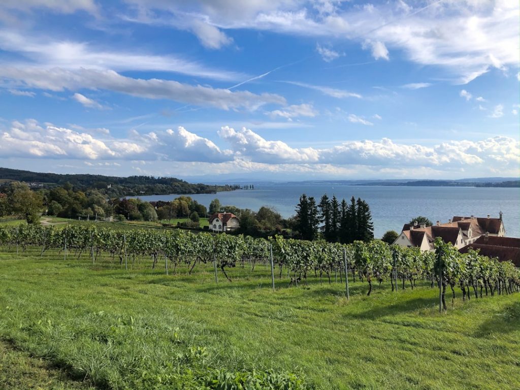 Bodensee Urlaub ohne Auto – Blick über den See vom Ufer, ideale Kulisse für entspannte, autofreie Ferien