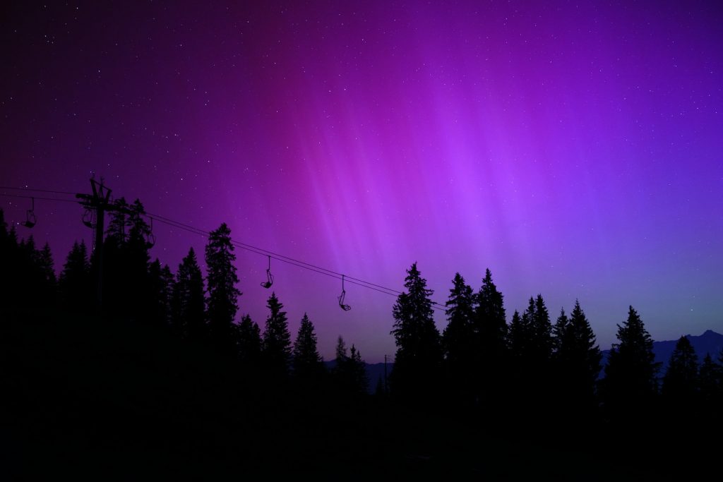 Grün-violette Polarlichter über einer ländlichen Nachtlandschaft in Deutschland, mit Sternen und dunklen Baumsilhouetten.