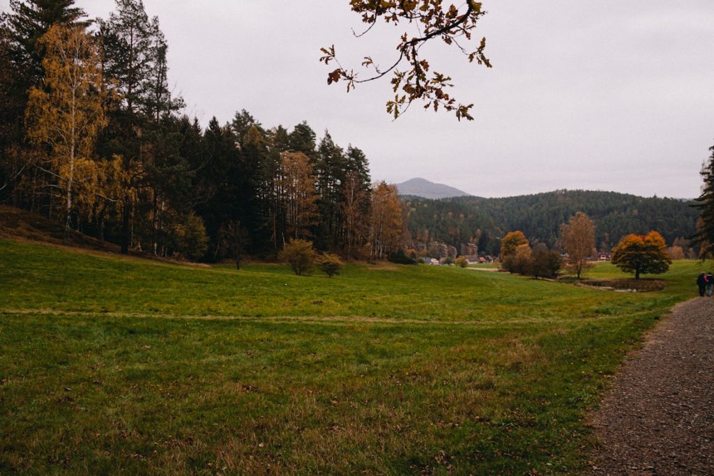 Schlittelbahn Preda–Bergün zwischen Preda und Bergün im Albulatal, Graubünden