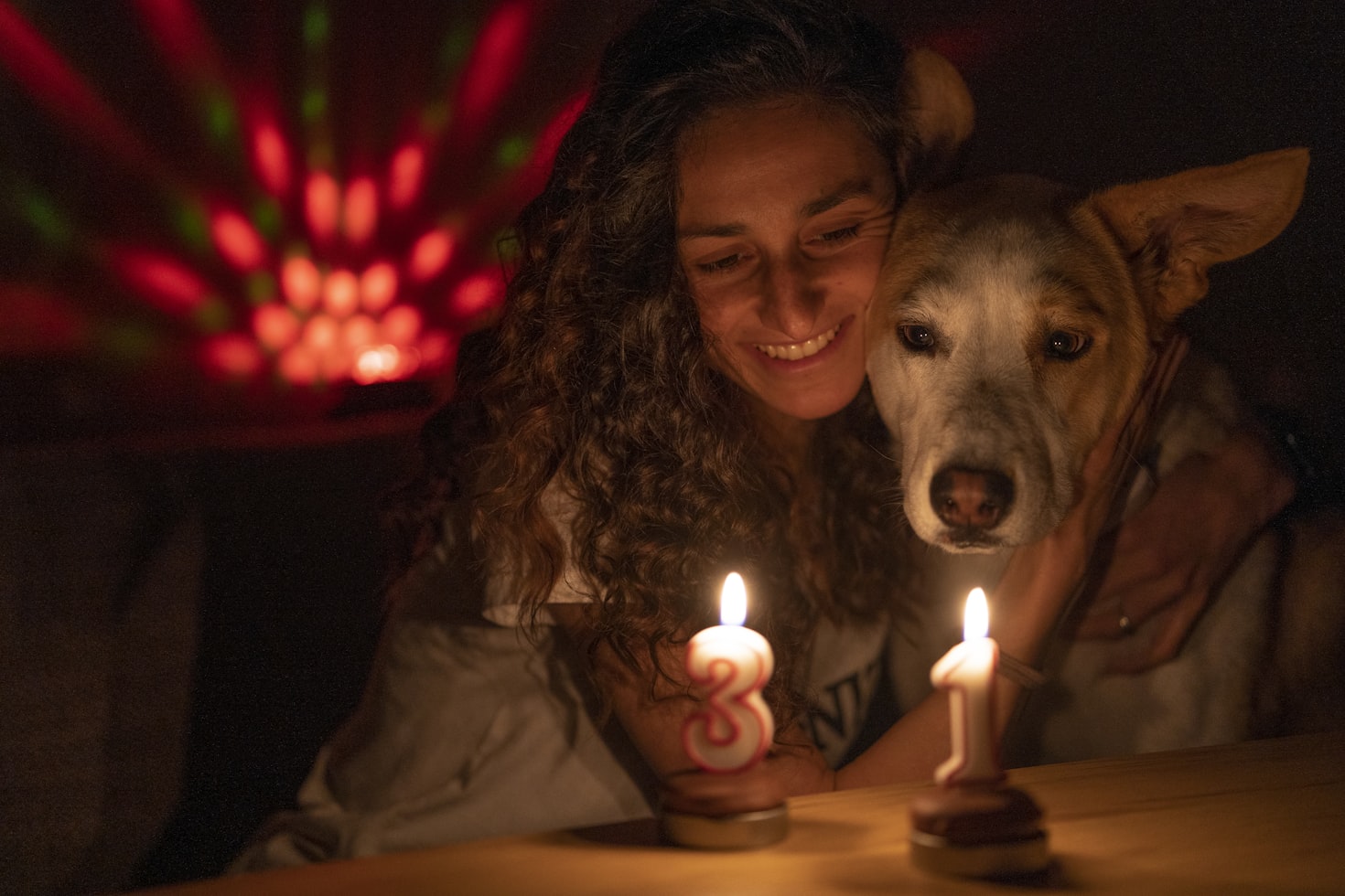 Silvester ohne Böller mit Hund: Regeln, Aktivitäten und sichere Wege