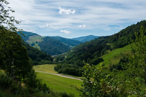 Familie beim Wandern mit Kinderwagen im Schwarzwald auf breitem, gut befestigtem Waldweg